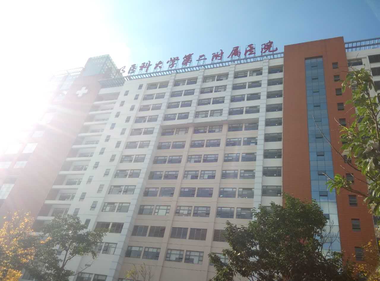 蘑菇视频下载入口采购单位昆明医科大学附属医院