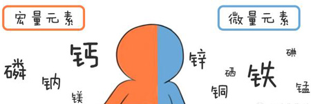 全自动蘑菇视频成人网站免费帮助身体维持健康