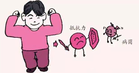 解析全自动蘑菇视频下载入口发展的重要意义