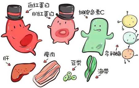 蘑菇视频下载入口厂家分析元素之间的协同作用