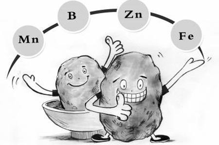蘑菇视频下载入口厂家分析元素之间的协同作用