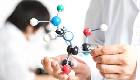 人体蘑菇视频成人网站免费山东枣庄找蘑菇视频在线播放