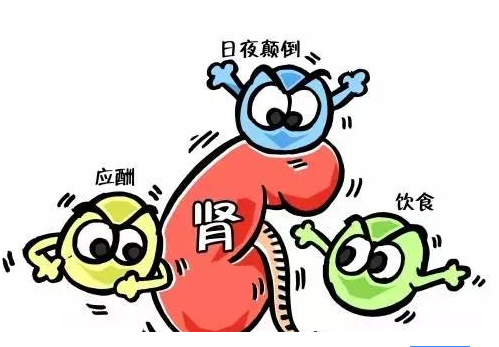 全自动蘑菇视频下载入口厂家谈肾脏病与微量元素的关系