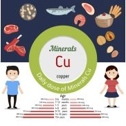 全自动蘑菇视频成人网站免费可以检测铜元素