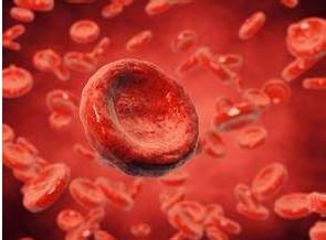 血液蘑菇视频下载入口厂家哪家好？