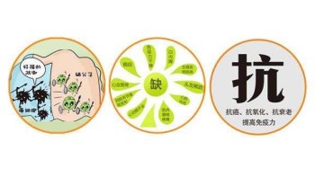 蘑菇视频下载入口厂家分析哪些微量元素能防癌