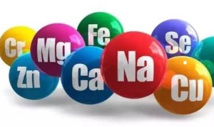 八元素蘑菇视频下载入口的特点 八元素蘑菇视频下载入口的特点