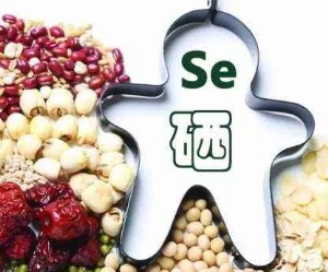 人体蘑菇视频下载入口谈硒元素的作用