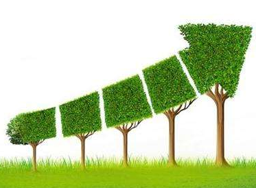 国产蘑菇视频成人网站免费厂家发展的需求有哪些？