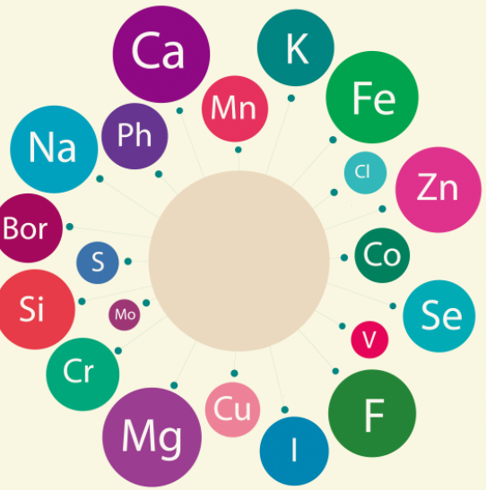 蘑菇视频下载入口品牌介绍微量元素欠缺会导致哪些皮肤病？
