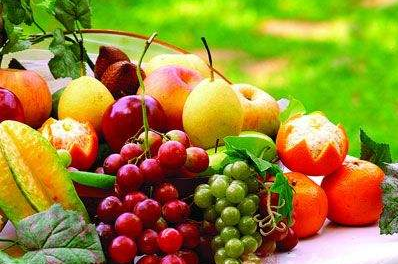 蘑菇视频下载入口厂家介绍什么水果带有微量元素 蘑菇视频下载入口厂家介绍什么水果带有微量元素