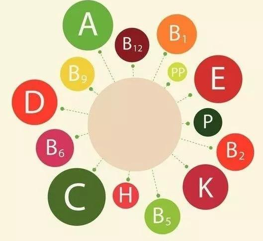 影响人体蘑菇视频下载入口厂家价格的因素有哪些？