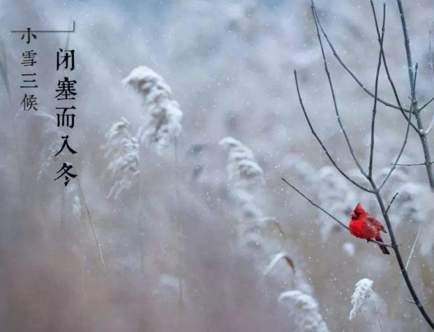 全自动微量分析仪厂家山东蘑菇视频在线播放提示您天冷了，照顾好自己！奥利给