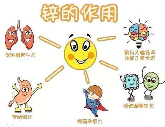 【全自动蘑菇视频成人网站免费】厂家蘑菇视频在线播放分析哪些儿童容易发生体内锌缺乏？