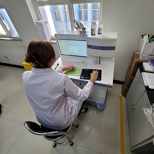 人体蘑菇视频下载入口品牌