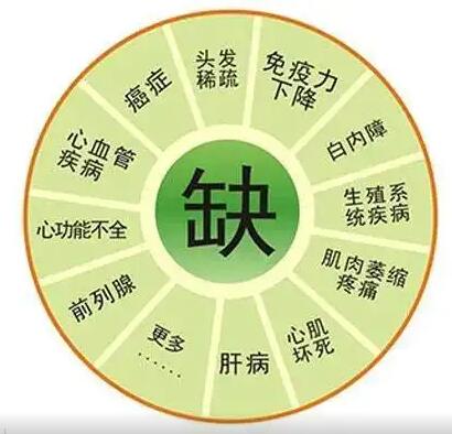 医用蘑菇视频成人网站免费 医用蘑菇视频成人网站免费