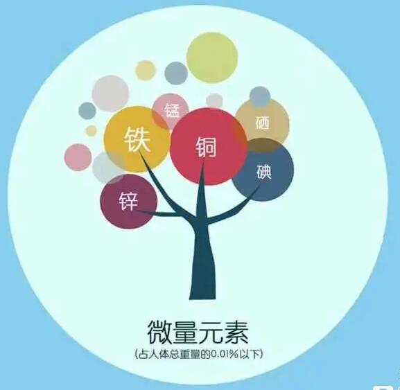 人体蘑菇视频成人网站免费厂家哪家好 人体蘑菇视频成人网站免费厂家哪家好