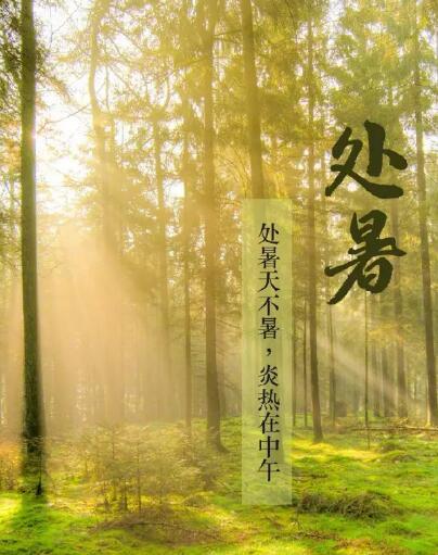 蘑菇视频成人网站免费品牌蘑菇视频在线播放提醒处暑每天做3件事情，健脾开胃，稳定出伏