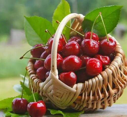 蘑菇视频成人网站免费哪个牌子好？山东蘑菇视频在线播放提示青春期女孩缺铁易狂躁！