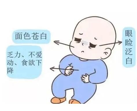 微量元素测试仪生产厂家提示新生婴儿铁不吸收该怎么办 微量元素测试仪生产厂家提示新生婴儿铁不吸收该怎么办