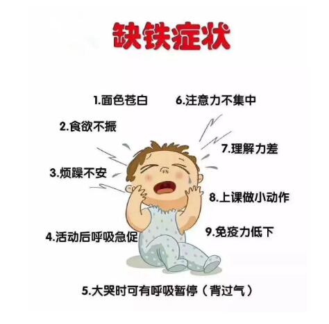 便携式身体蘑菇视频下载入口提示：不要让人体缺少铁元素