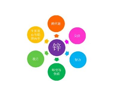 微量元素测定仪厂家提示关爱男士健康，适度补充锌元素也不能少！