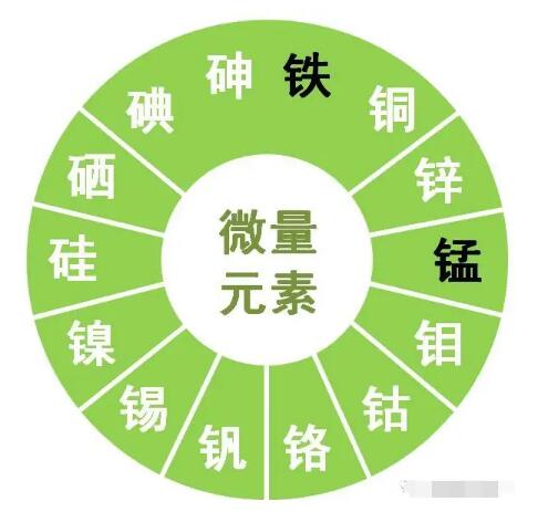 蘑菇视频成人网站免费提示锌、硒、锰、钒等微量元素对男性生育有哪些作用？