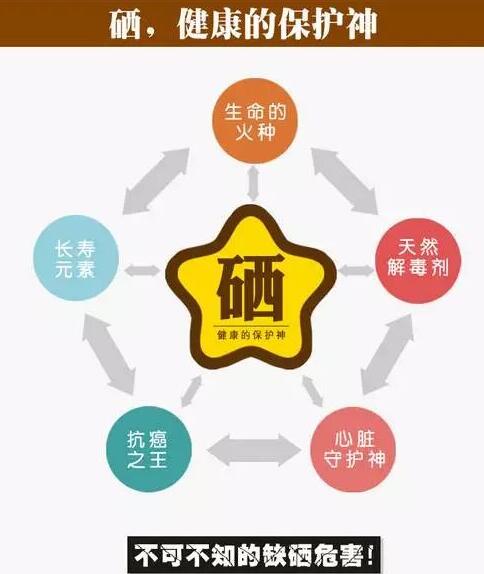 全自动蘑菇视频下载入口品牌提示硒元素对脑血管病产生的影响