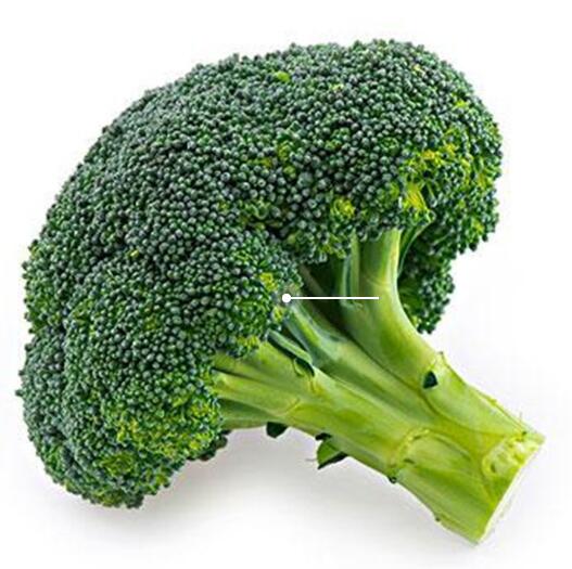 人体蘑菇视频成人网站免费品牌提示7种食物能够帮助补钙，有你喜欢吃的吗？