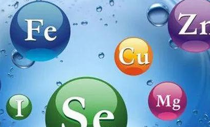 河南漯河蘑菇视频成人网站免费哪个厂家好？怎样判断好坏？-山东蘑菇视频在线播放